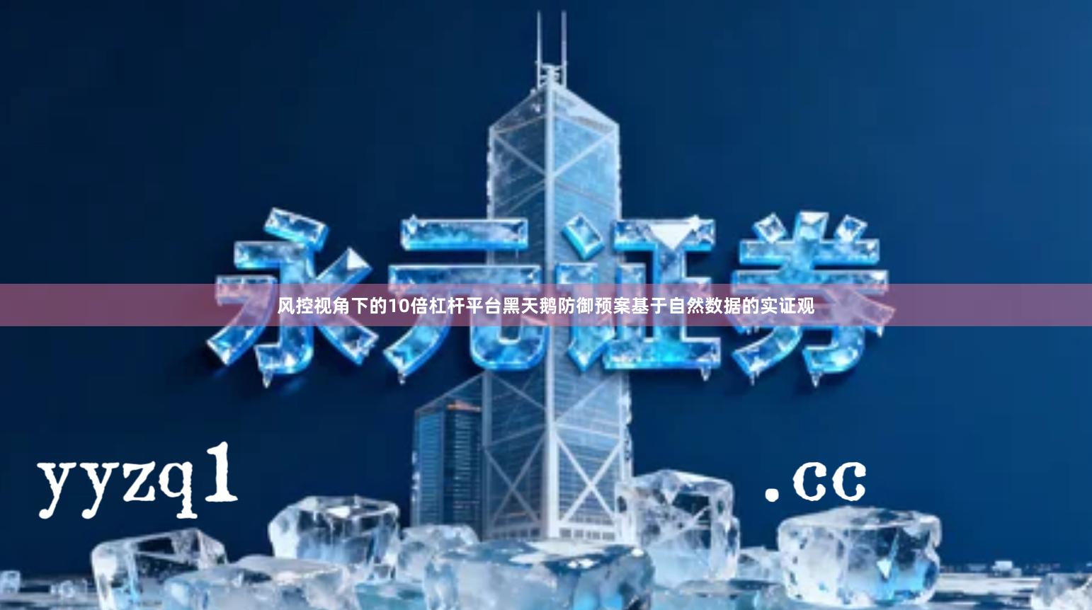 风控视角下的10倍杠杆平台黑天鹅防御预案基于自然数据的实证观